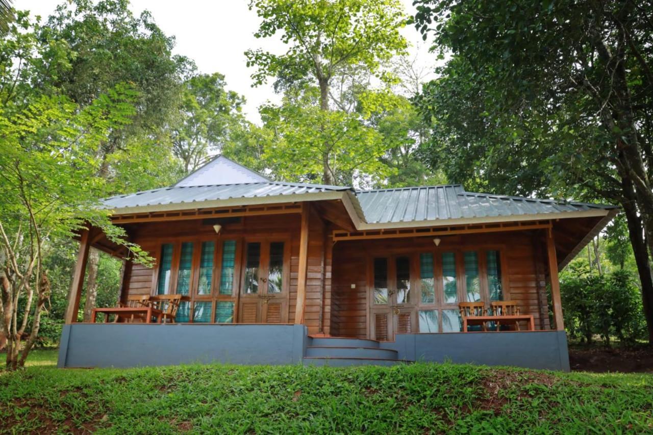 Royal Wooden Villa Манантавади Экстерьер фото